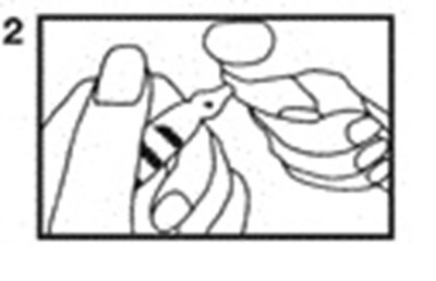 Ov Image 2.jpg (Ov Image 2)